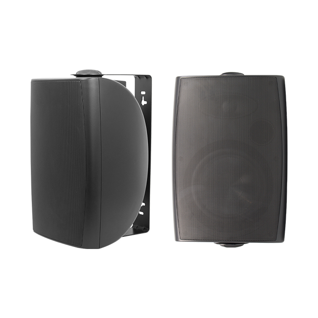 Outdoor Speakers – Rave Technology